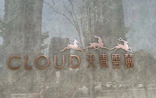 云麓这质感拉满，三期太需要好品质楼盘了
