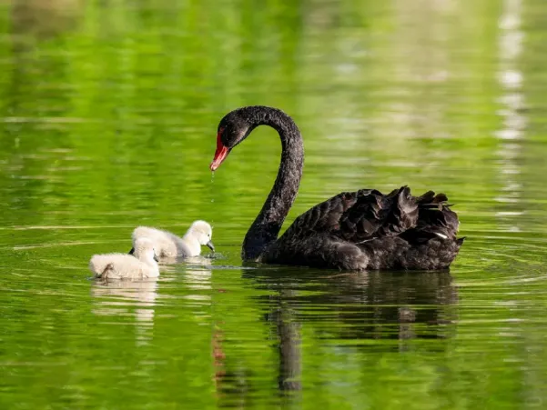 1759208516118575.png image.png