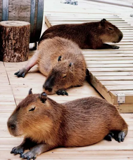 1759208903755724.png image.png